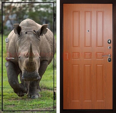 Металлическая дверь с фотопечатью носорога ДФ-31 в Самаре